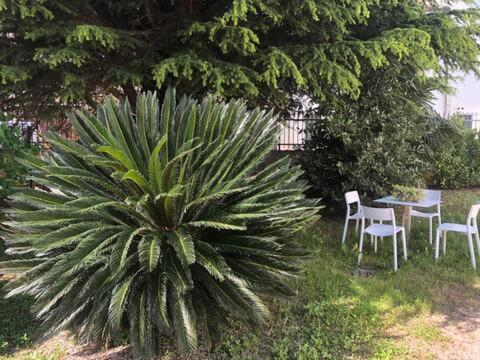 Villa Dimora Scaldaferro Mira Exterior foto
